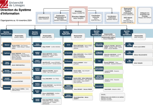 DSI-Organigramme-hierarchique