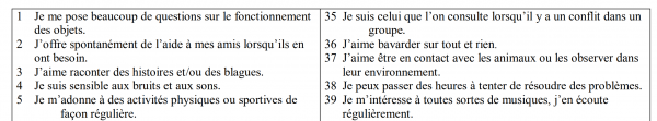 Figure 1 – Extrait du questionnaire de Garas et Chevalier (2012)2