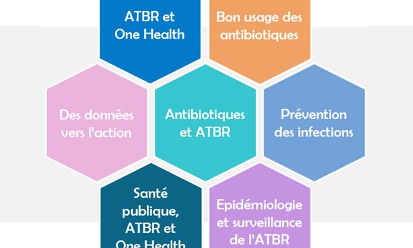 DU Antibiorésistance et approche globale One Health