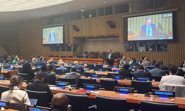 Assemblée Générale Nations Unies AMR