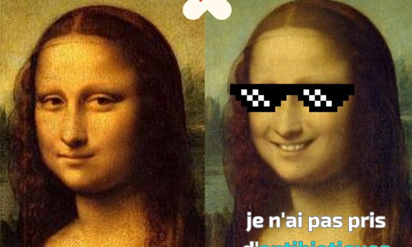 EU-JAMRAI campagne RESINFIT Art Memes