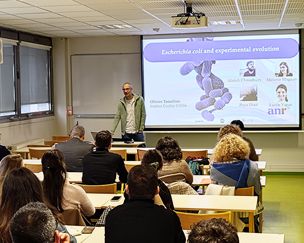 Olivier Tenaillon RESINFIT séminaire